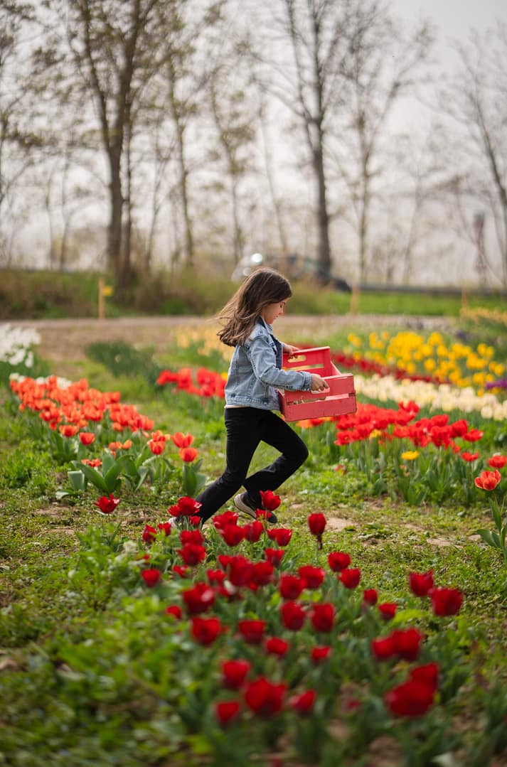 il Giardino dei Colori di Gloria e Carlo - immagine 2